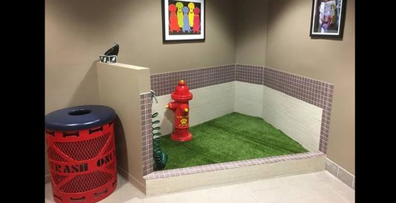 Airport Pet Relief Areas preview 4
